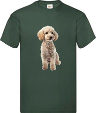 Miniature Poodle White Dog Pet