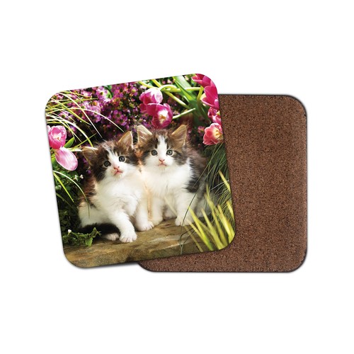 Beautiful kittens coaster - beautiful,