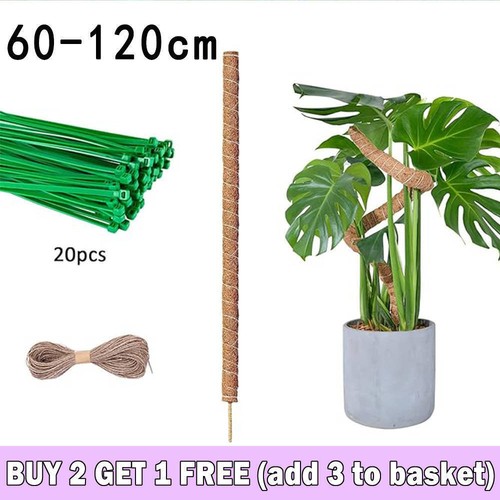 Moss pole for - cheese, plant