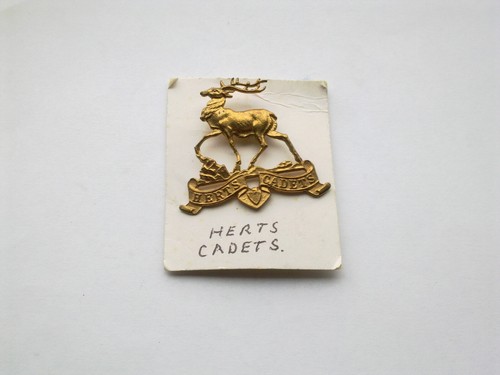 Hertfordshire cadets military - hertfordshire,