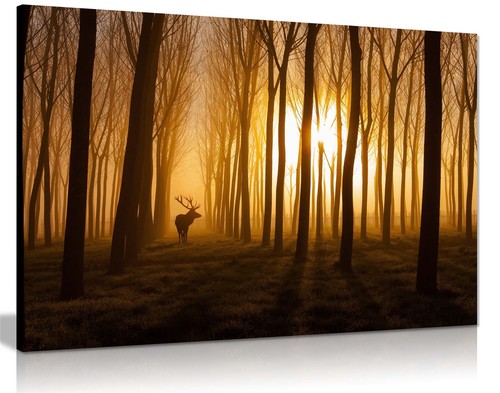 Deer golden forest wildlife - in,