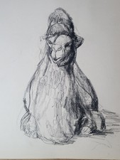 Artists Daler Sketch Book 15 Pages Pencil Pen Sketches Cotswold Wildlife 