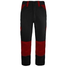 Dickies Everyday Mens