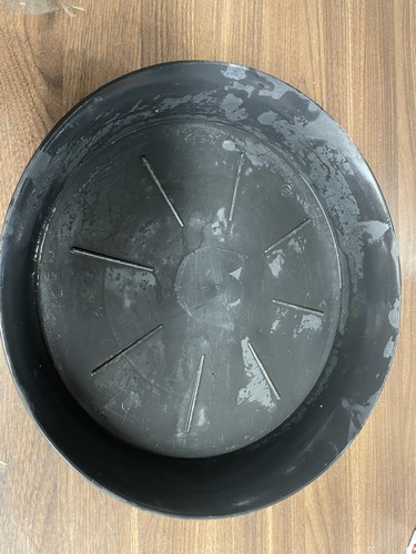 35cm used plant - x, pot