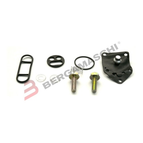 Fuel tap revision kit - fuel,