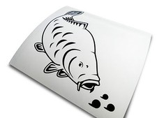 VINYL ‘Feeding Mirror