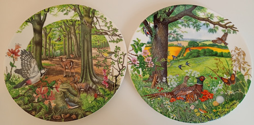 Wedgwood plates colin - 2x,