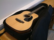 Harley Benton CLT-20S NT