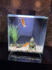 Aqua one black 37l platform