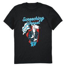 Screeching Weasel Tour 2026