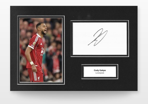 Cody gakpo signed 12x8 - gakpo, photo