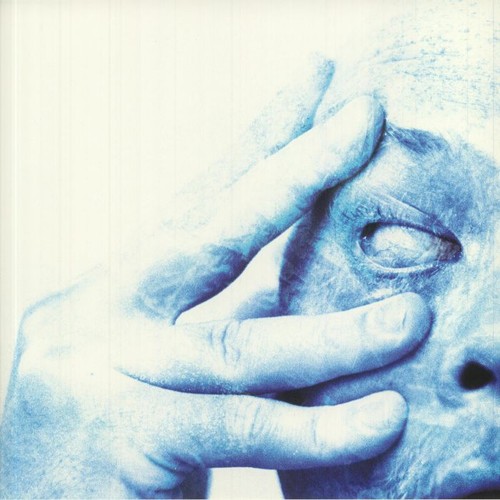 Porcupine tree in absentia - tree,