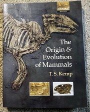 Origin and Evolution of