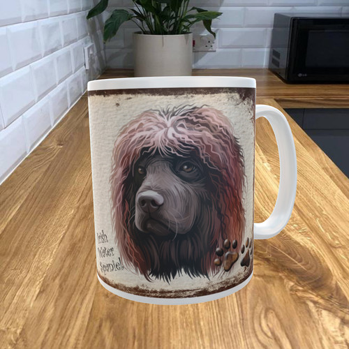 Irish water spaniel dog - spaniel,