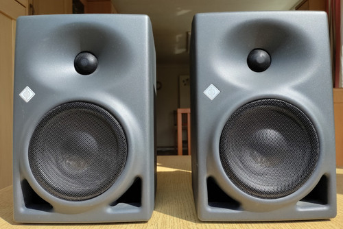 Neumann 120 25 active - 5.25",