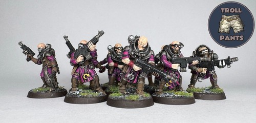 Neophyte hybrids - 10,