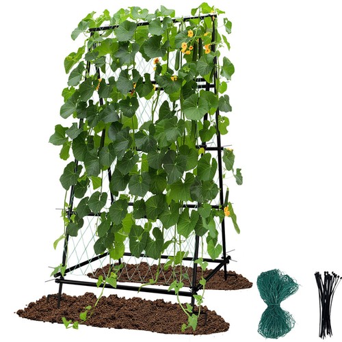 Outdoor tall frame - outdoor,
