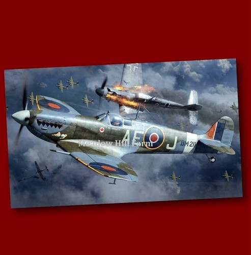 Fridge magnet raf - fridge, spitfire