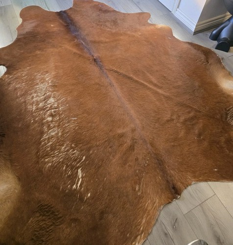 Natural large brown and white - ,