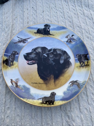 Royal doulton the sporting - the,