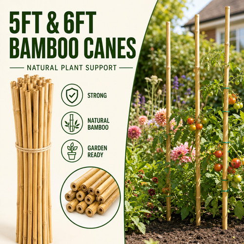 5ft 6ftbamboo garden canes - &,