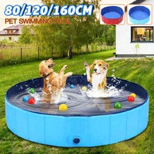 Large dog swimming - pool, pet