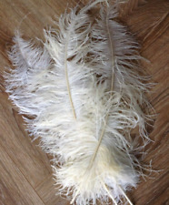 10 Large Ostrich Feathers WHITE Craft Centerpiece Wedding Party Decor 60-70cm 