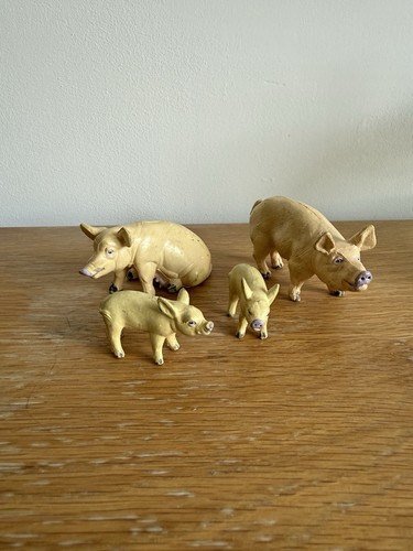 Aaa elc pig sow boar - pig,