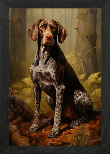 German shorthaired pointer - shorthaired,