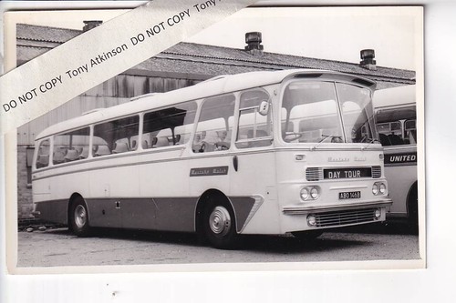 Western welsh aec - -,