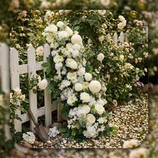 100Cm Luxury White Rose