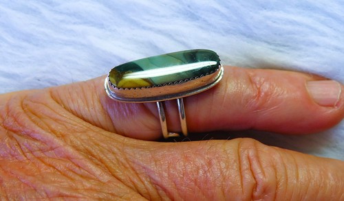 Scorpion signed owyhee jasper - signed,