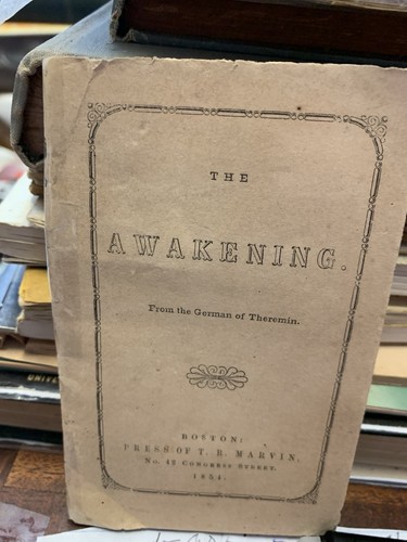 The awakening from german - the,