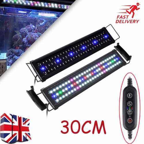 Aquarium fish tank - tank, light