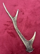 SIKA DEER ANTLER 128g
