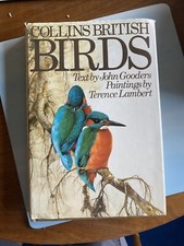 Collins British Birds Terence