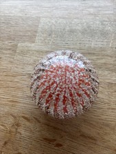 Strathearn P3 Sea Urchin Glass