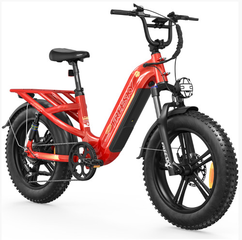 Electric bike 48v25ah - electric,