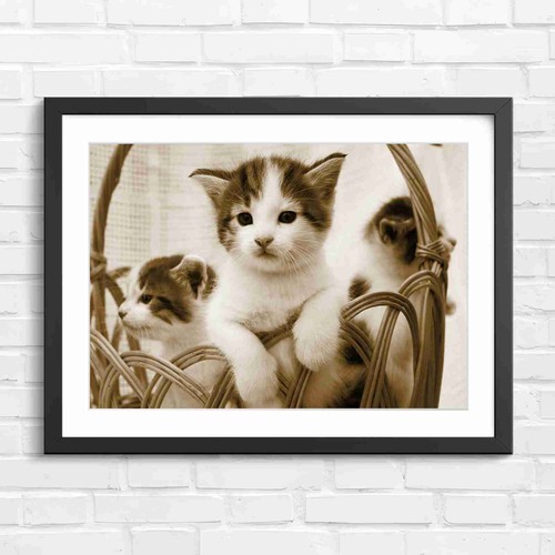 Adorable kittens wicker - kittens, in