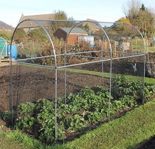 Fruit vegetable garden - fruit,