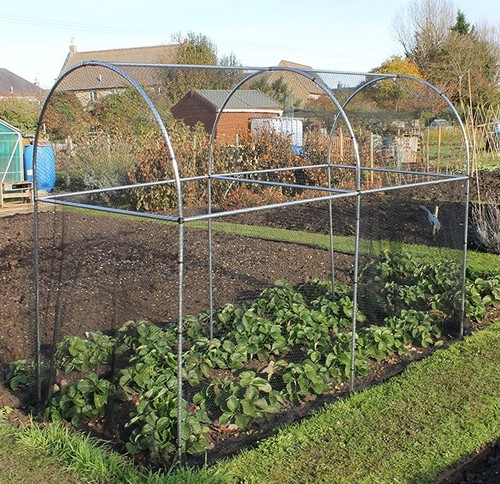 Fruit vegetable garden cage - fruit,