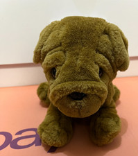 Wrinkly Brown Shar Pei Puppy