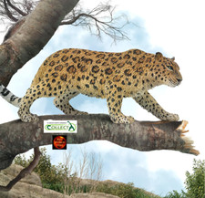 Amur Leopard Wildlife Toy