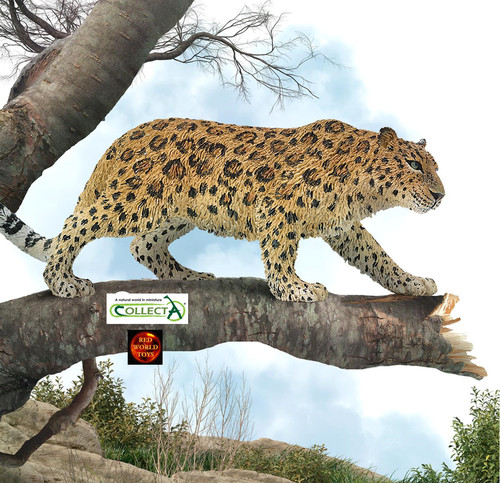 Amur leopard wildlife - leopard, toy