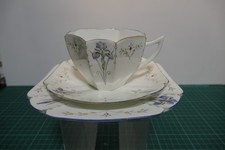 Shelley Trio in the Blue Iris