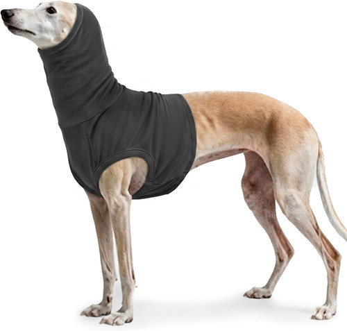 Dog medical shirt neck cover - dog,