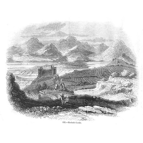 Harlech castle antique print - harlech,