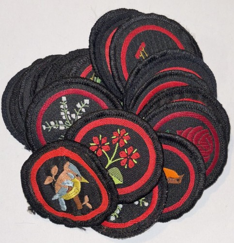 Girl guide sew patrol - guide,