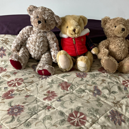 Harrods teddy bears - 3,