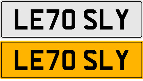 Le70 sly leslie lesley les - leslie, lez